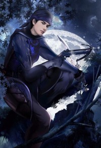 蝶夢雲煙